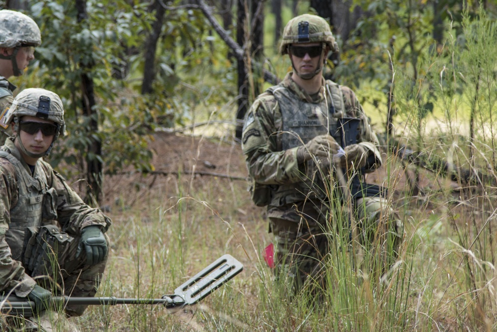 Soldier with 5-20th Inf. is FORSCOM’s NCO of the Year