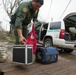 CBP responds to Hurricane Harvey