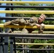 2017 Oregon Best Warrior Competition