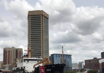 Maple Arriving in Baltimore
