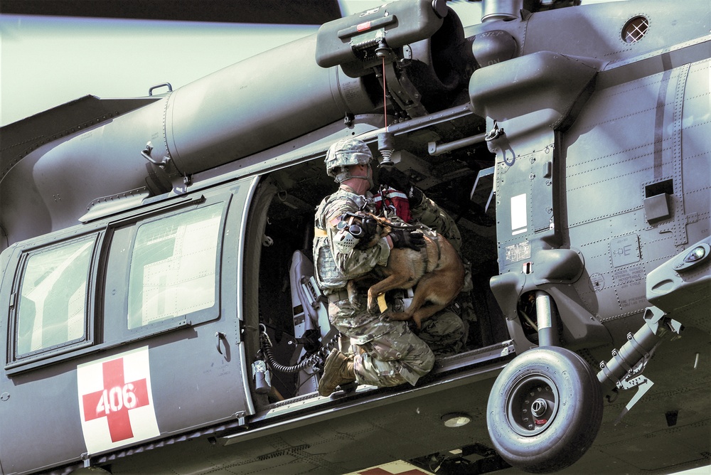 Ansbach Military Working Dog Handlers Perform Medevac Training