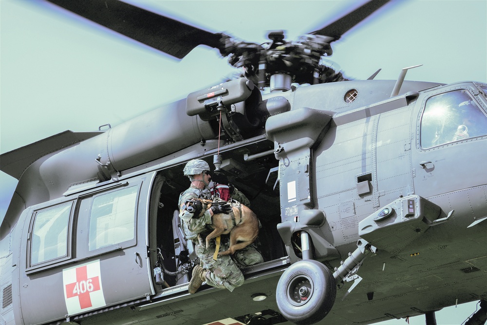 Ansbach Military Working Dog Handlers Perform Medevac Training