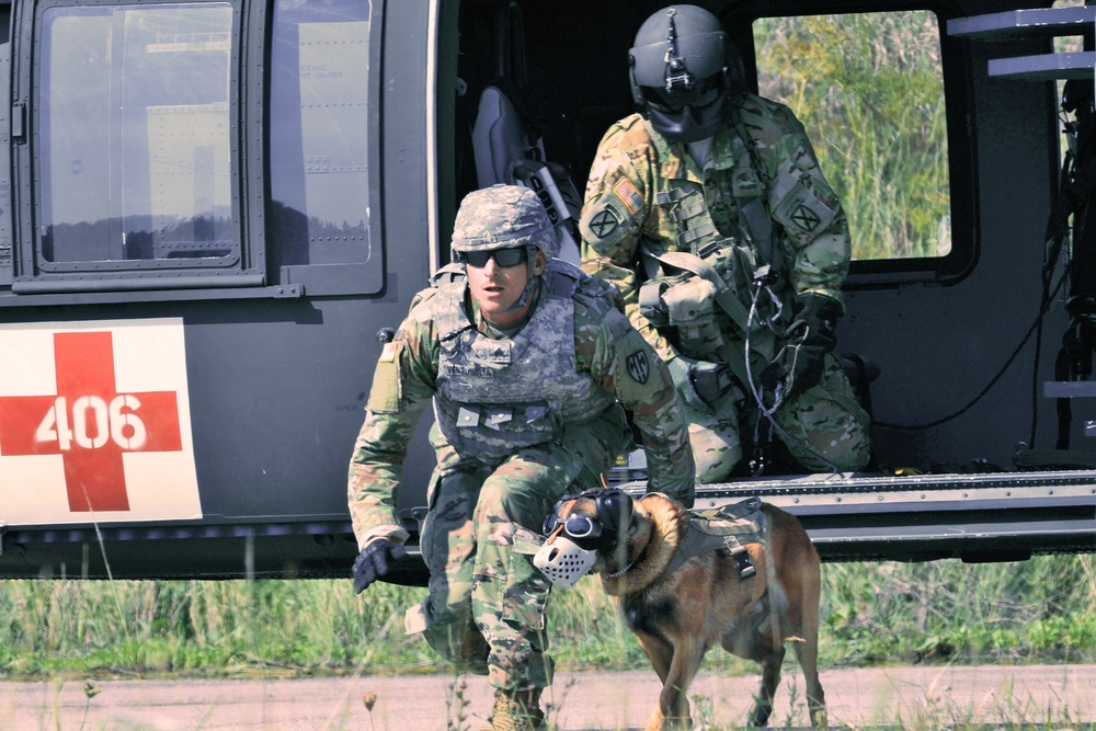 Ansbach Military Working Dog Handlers Perform Medevac Training