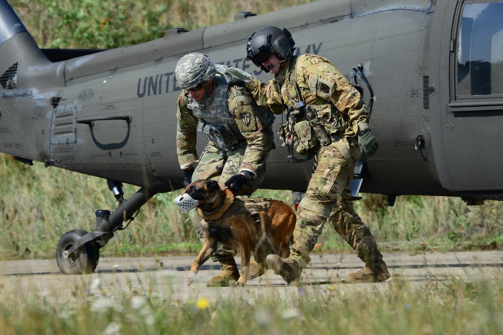 Ansbach Military Working Dog Handlers Perform Medevac Training