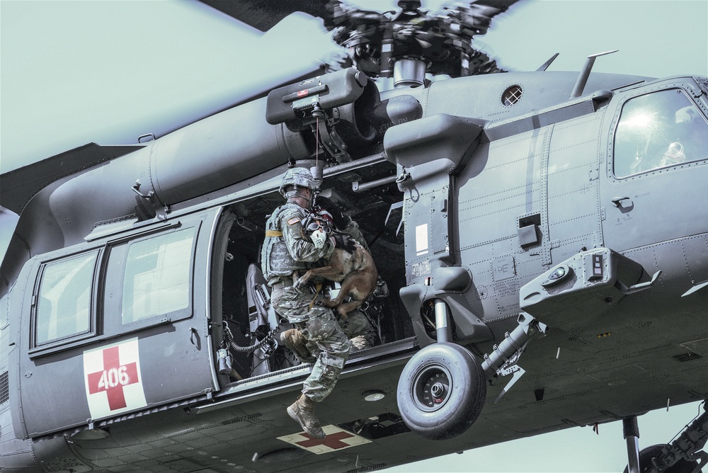 Dvids - Images - Ansbach Military Working Dog Handlers Perform Medevac 