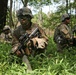 1-327 conducts company level readiness validation during Eagle Flight II