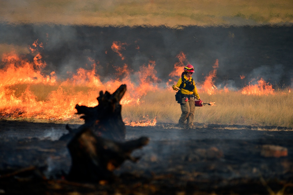 Oregon National Guardsmen activated to assist with Chetco Bar Fire