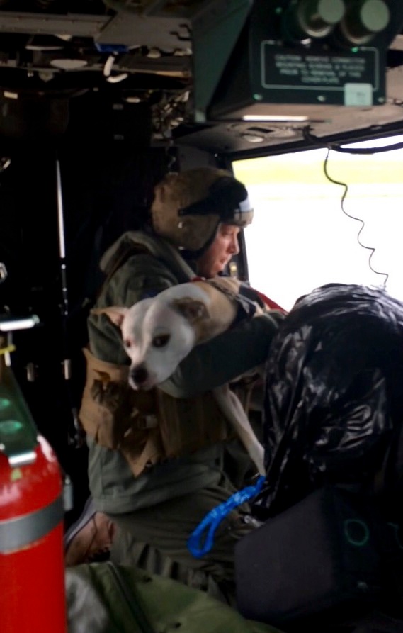 Marine Forces Reserve participate in rescue operations during Hurricane Harvey