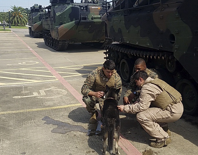 Marines use amphibious capabilities to rescue and assist Hurricane Harvey victims