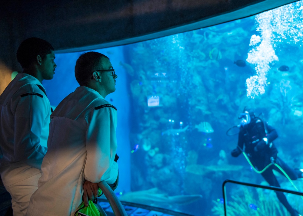 Sailors Visit Aquarium of the Pacific During Los Angeles Fleet Week