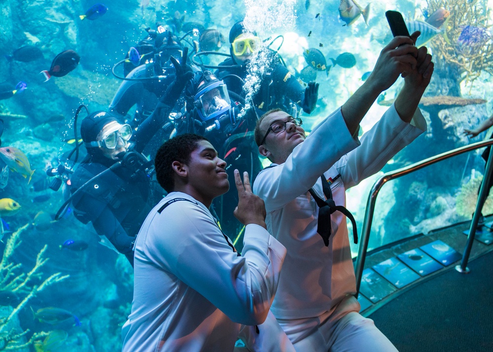 Sailors Visit Aquarium of the Pacific During Los Angeles Fleet Week