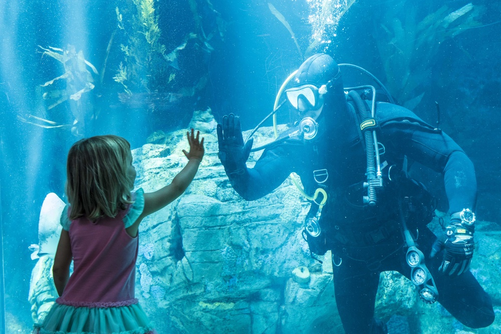 Sailors Visit Aquarium of the Pacific During Los Angeles Fleet Week