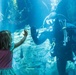 Sailors Visit Aquarium of the Pacific During Los Angeles Fleet Week