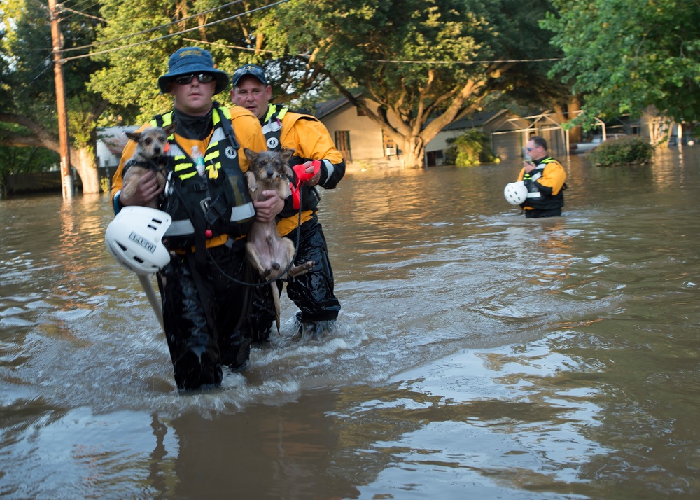 New Jersey Task Force 1 perform rescue operations