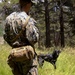 Specialized search dog trains in IED detection during Mountain Warfare Training