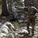 Specialized search dog trains in IED detection during Mountain Warfare Training