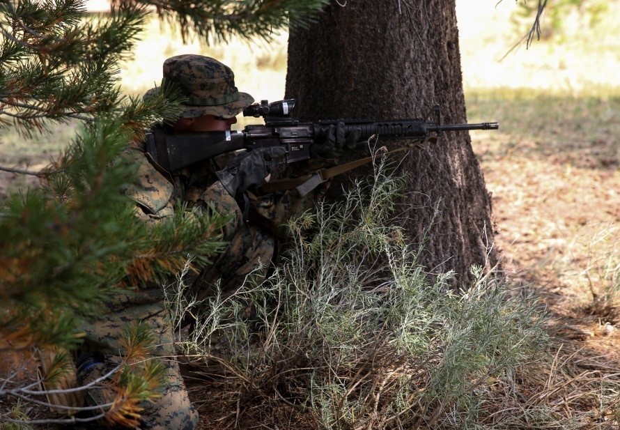 Marines elevate combat skills during Mountain Warfare Training