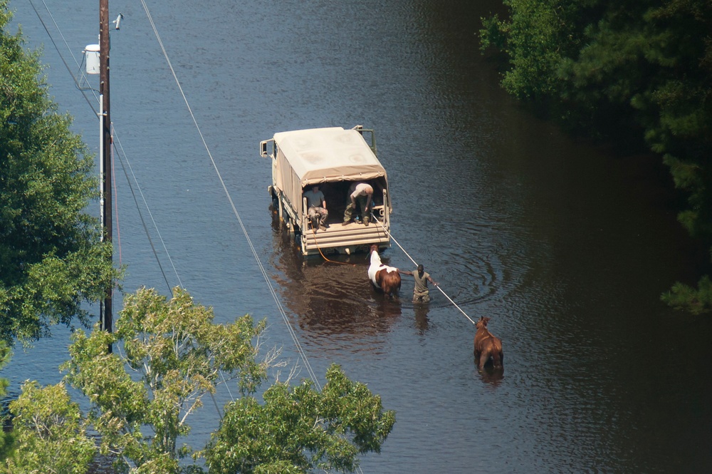 TXARNG Aviation units conduct search and rescue operations after Hurricane Harvey