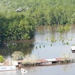 TXARNG Aviation units conduct search and rescue operations after Hurricane Harvey