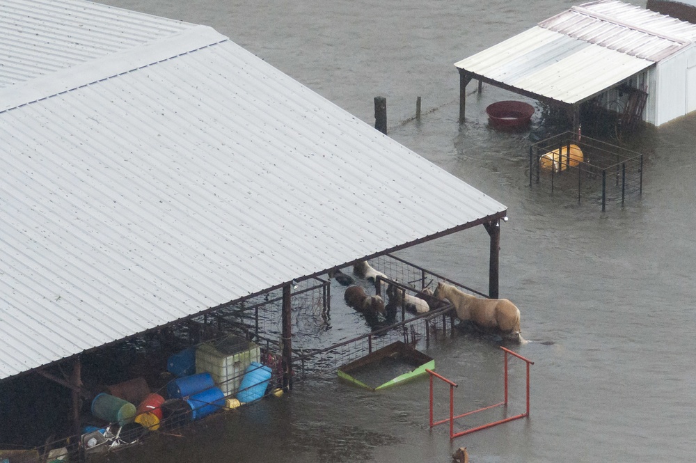 Hurricane Harvey flooding Port Arthur