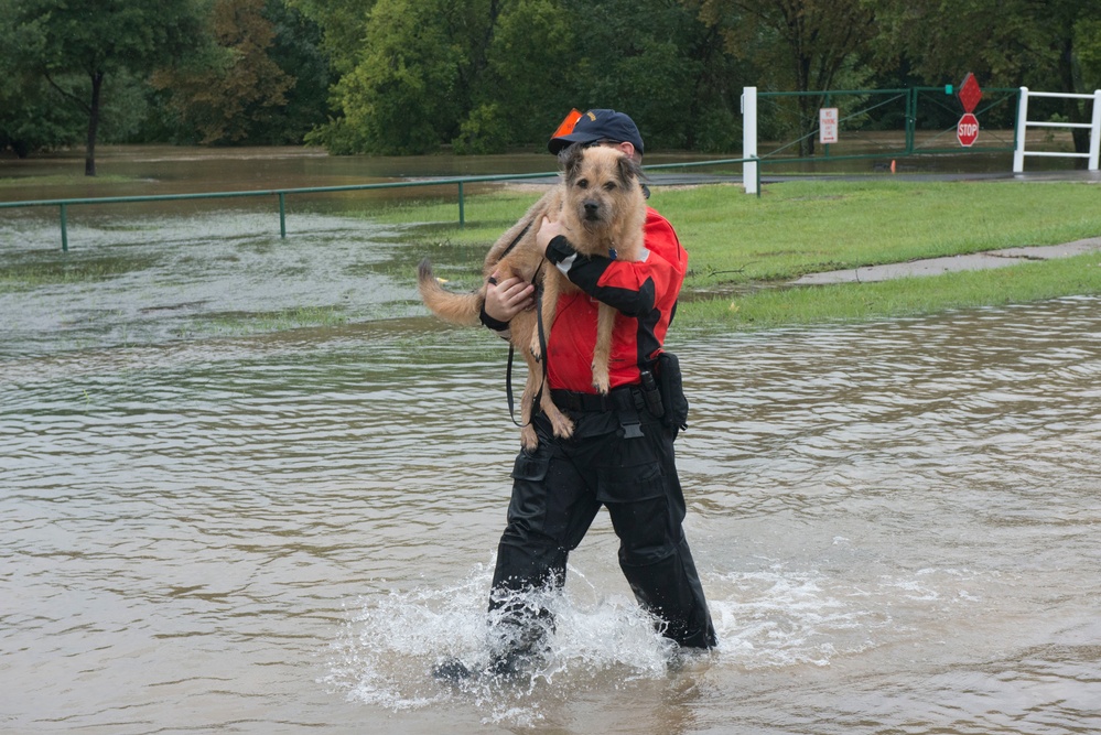 A Coast Guard Flood Punt Team transports a family and their dog through a flooded neighborhood