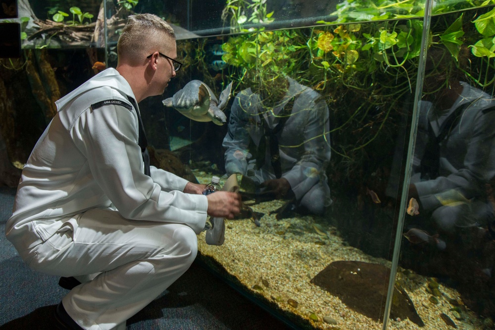 LA Fleet Week Service Members Visit the Los Angeles Zoo