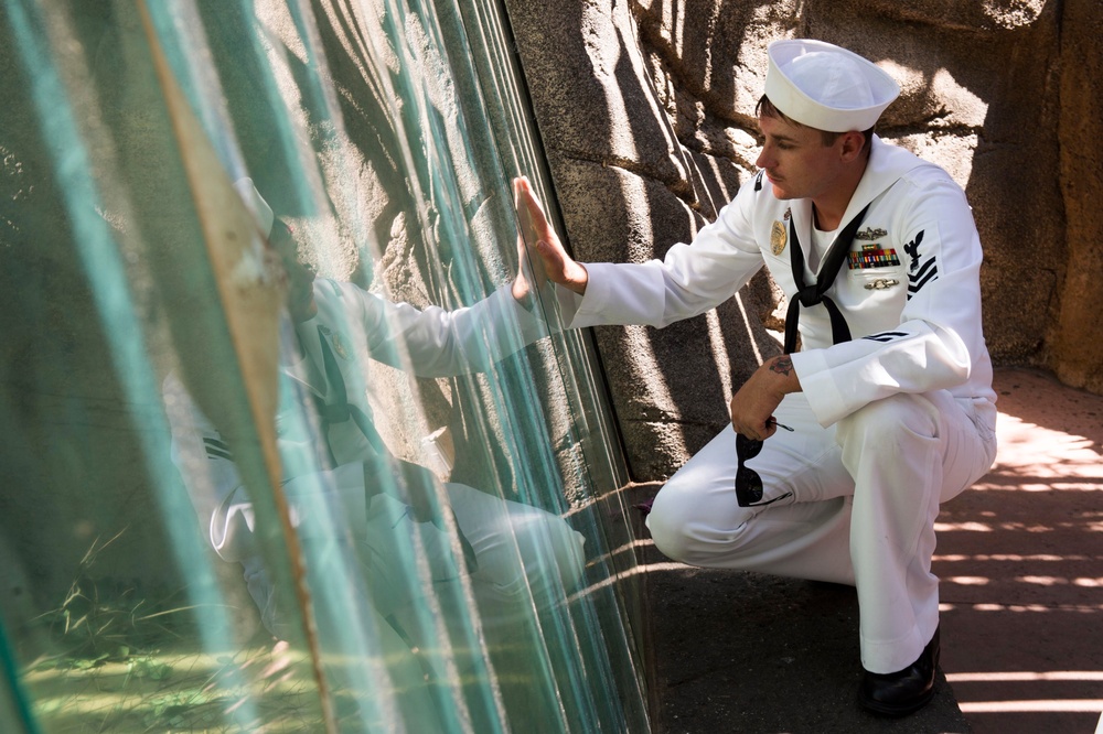 LA Fleet Week Service Members Visit the Los Angeles Zoo