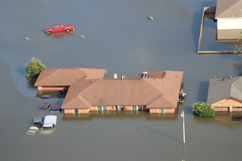 Harvey Rescues