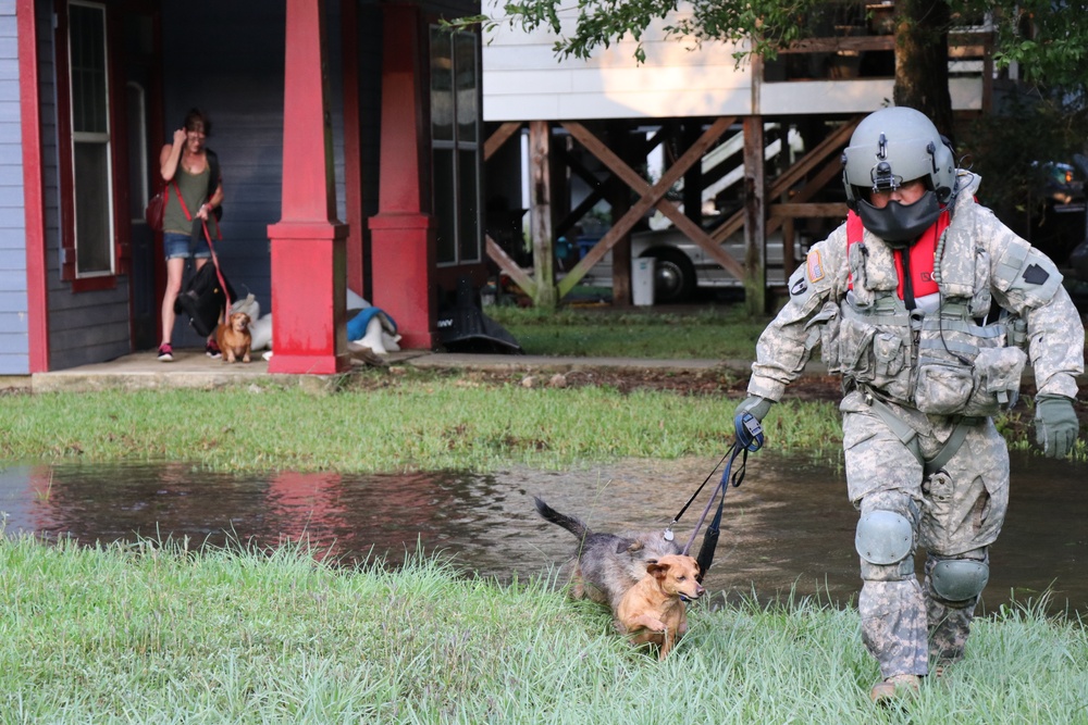 Harvey Rescues