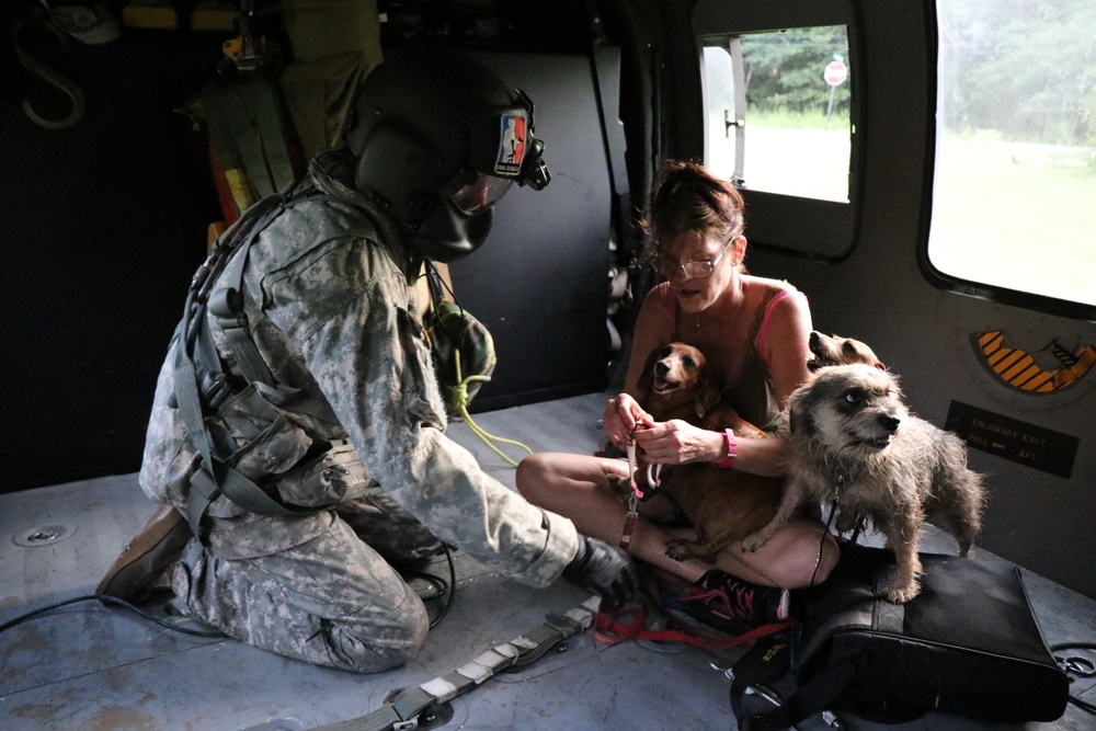 Harvey Rescues