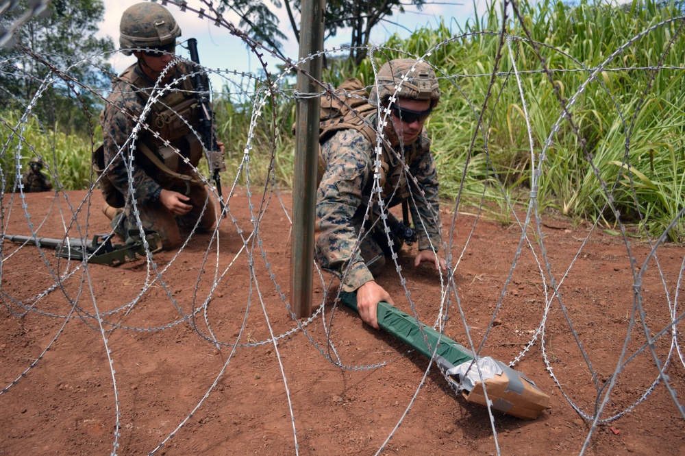 Marines, Combat Engineers blast away obstacles