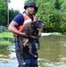 Coast Guardsmen in Port Arthur rescue animals from Hurricane Harvey aftermath