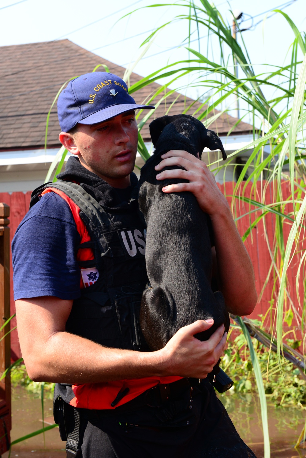 Coast Guard rescues animals from Hurricane Harvey aftermath
