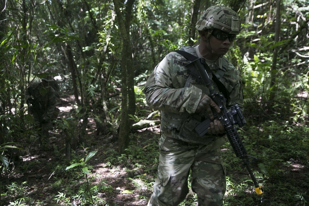 31st MEU Marines train alongside soldiers in Guam