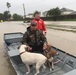 Gulf Strike Team assists with Hurricane Harvey rescue and recovery efforts