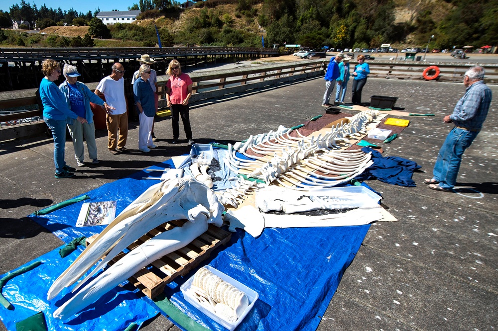 U.S. Naval Magazine Indian Island Assists Port Townsend Marine Science Center