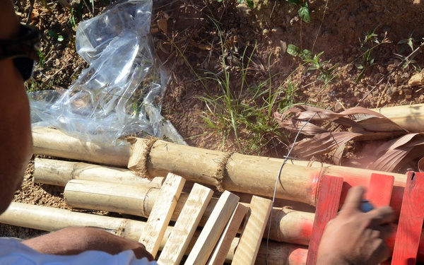 DPAA in Quang Tri Province