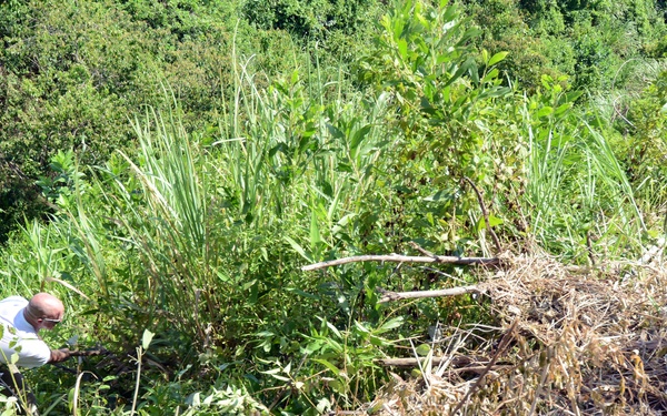 DPAA in Quang Tri Province