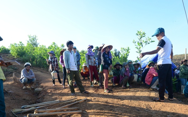 DPAA in Quang Tri Province