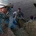 Hurricane Harvey – Soldiers Supply Hay Bales to Stranded Cattle