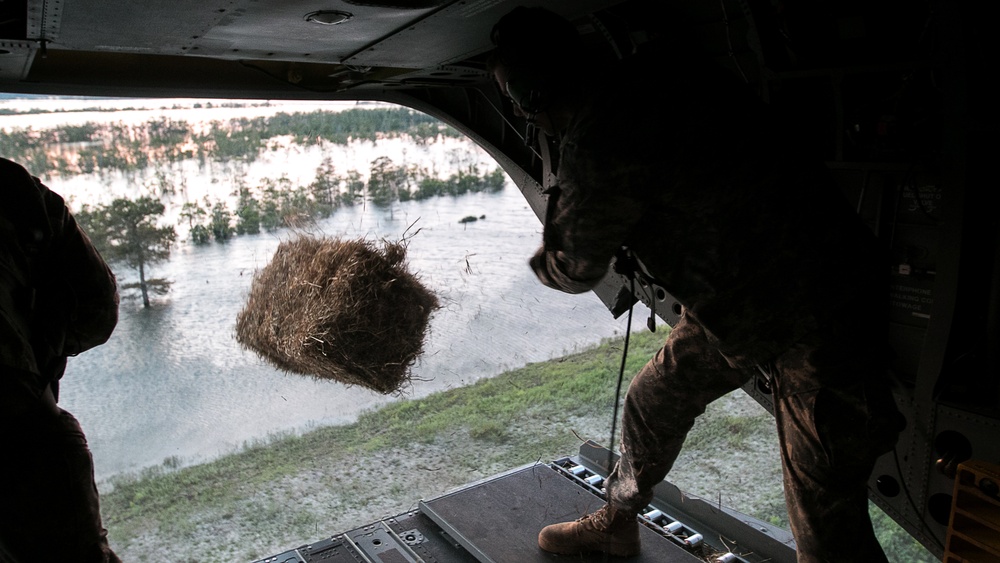 Hurricane Harvey – Soldiers Supply Hay Bales to Stranded Cattle
