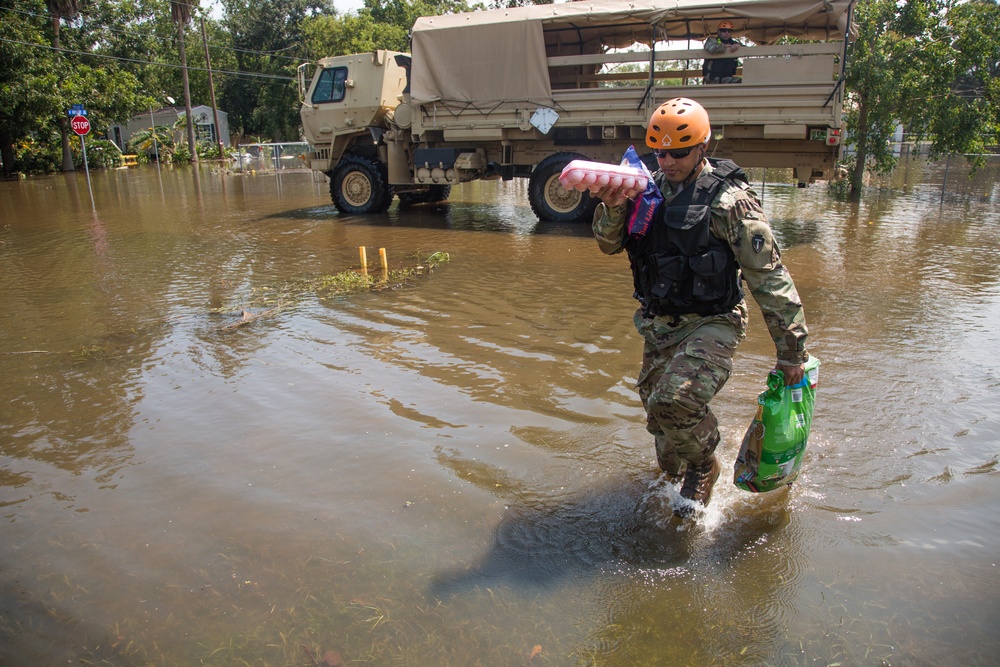 1-124 Cavalry Squadron Helps Locals in Orange, Texas