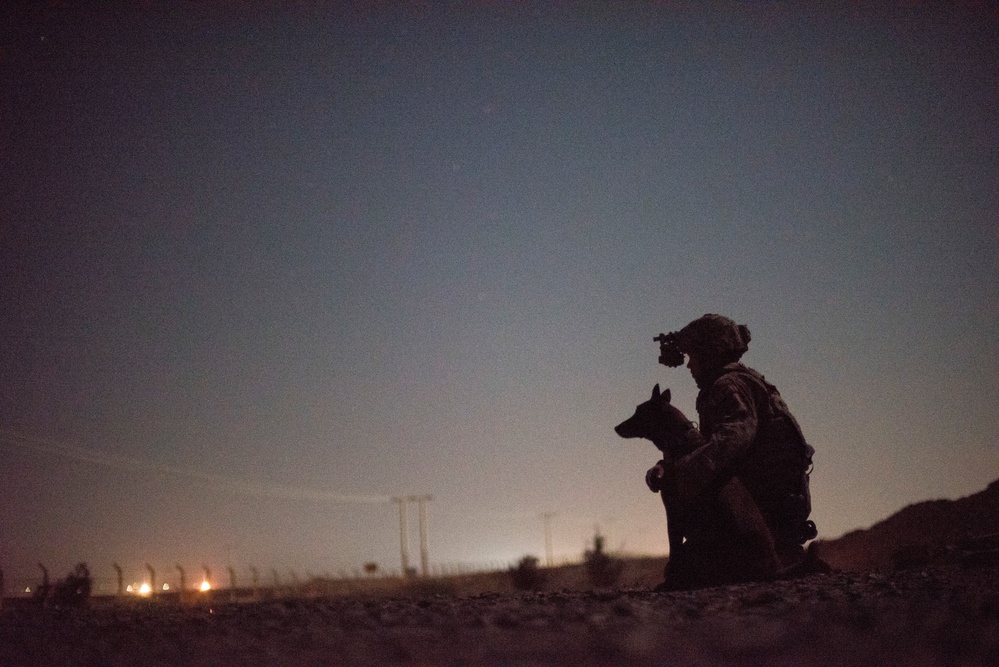 Handlers, MWDs guard at night