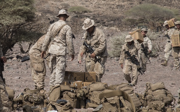 TF 51/5 tests warfighting capabilities during Alligator Dagger