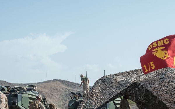 TF 51/5 tests warfighting capabilities during Alligator Dagger