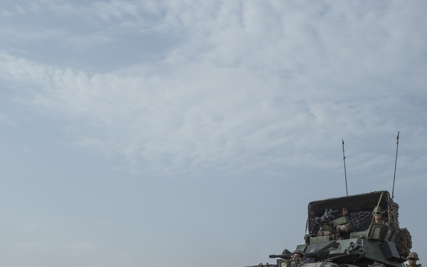 TF 51/5 tests warfighting capabilities during Alligator Dagger