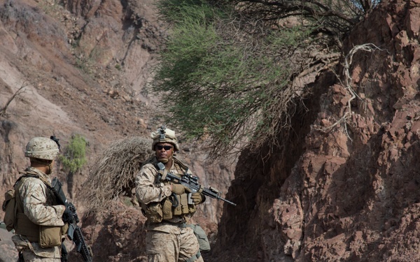 TF 51/5 tests warfighting capabilities during Alligator Dagger