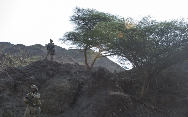 TF 51/5 tests warfighting capabilities during Alligator Dagger