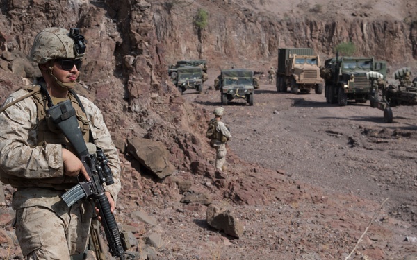 TF 51/5 tests warfighting capabilities during Alligator Dagger