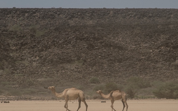 TF 51/5 tests warfighting capabilities during Alligator Dagger